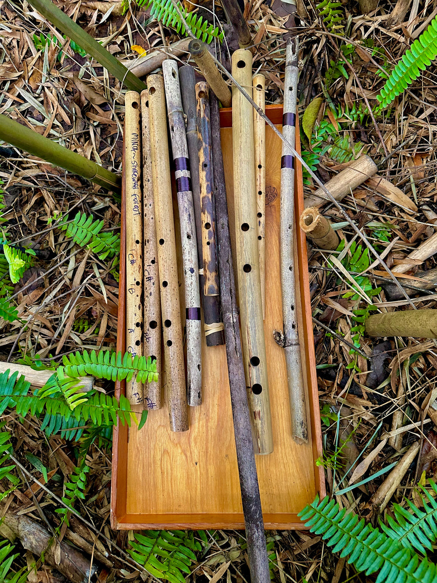 Nature Flute Set/ Woodpecker Flutes Erik the Flutemaker