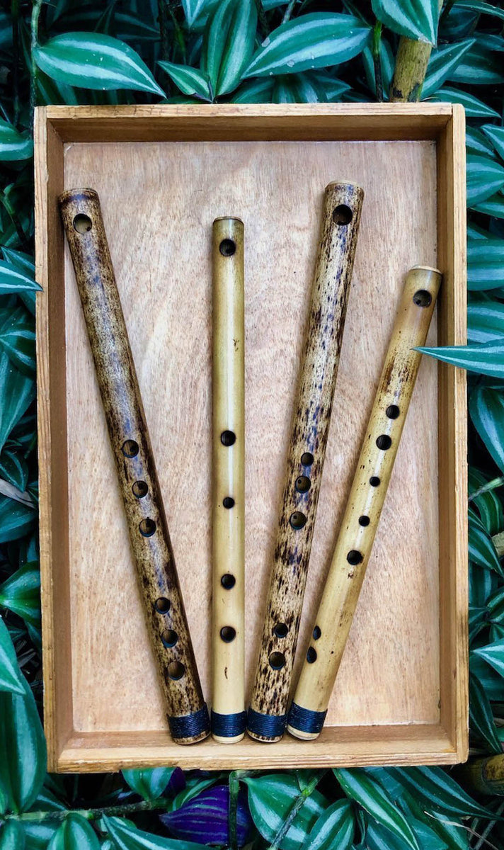 ancient flute monsters of etheria The Ancient Flute Set