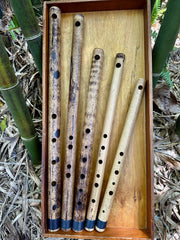 SIDE BLOWN FLUTE - Arabian  Bamboo Body - Exotic Scale – Erik the