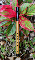 C Arabian Whistle Made with Bamboo