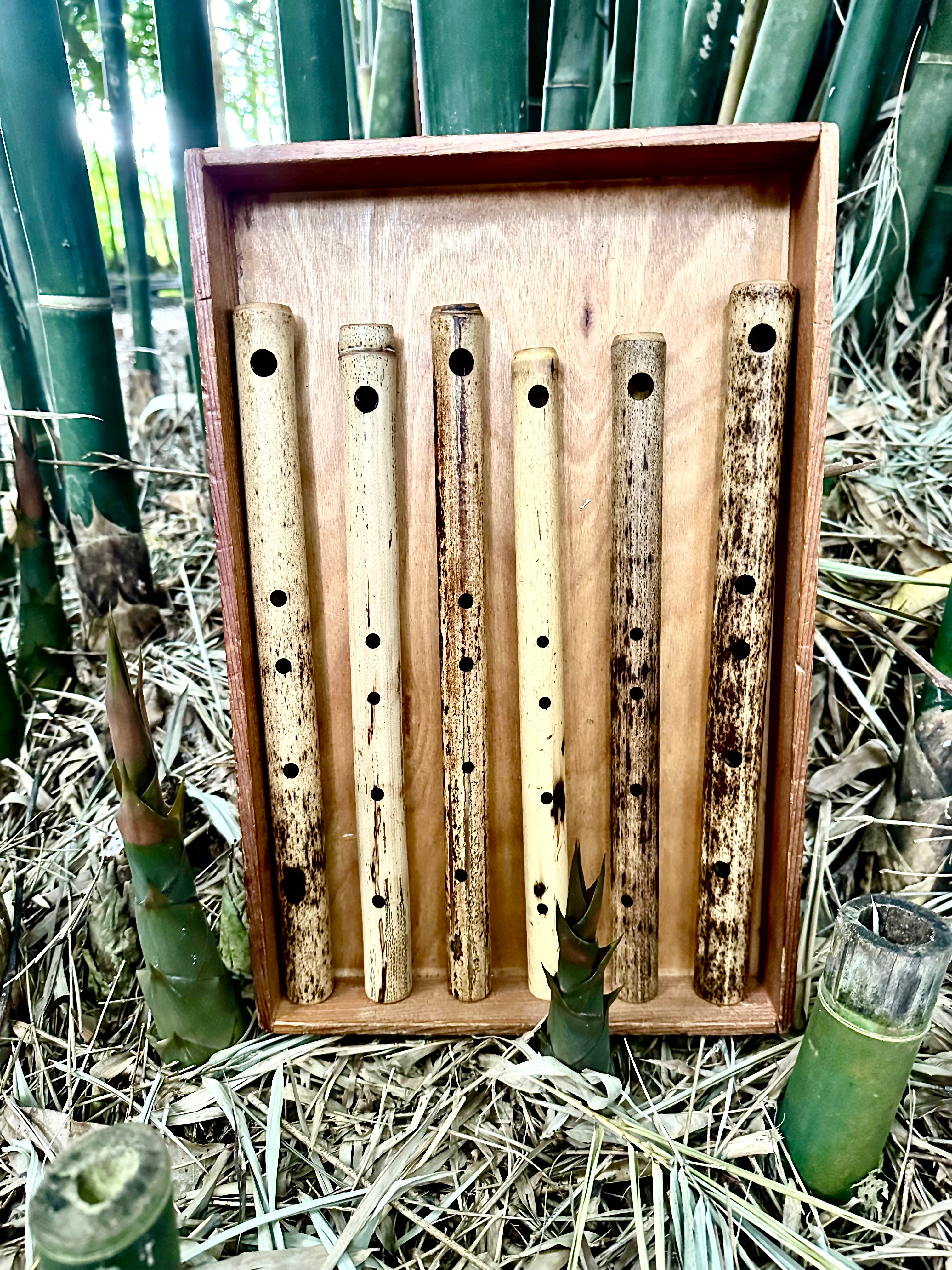 Flute For Rats Side Blown Flute: The Genesis Nature Flute – Erik the Flutemaker