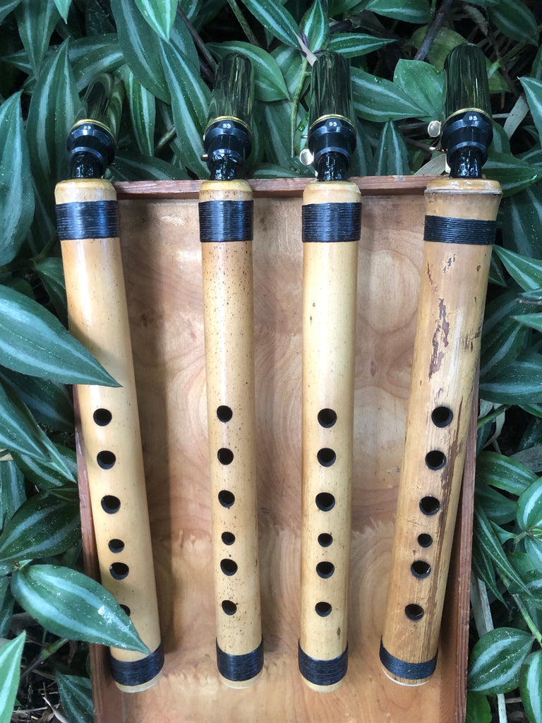 Saxophone Alto Natural Bamboo Erik the Flutemaker