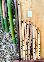 The Exotic Flute Sets