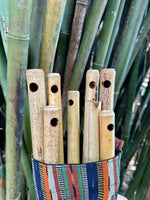 The Exotic Flute Sets