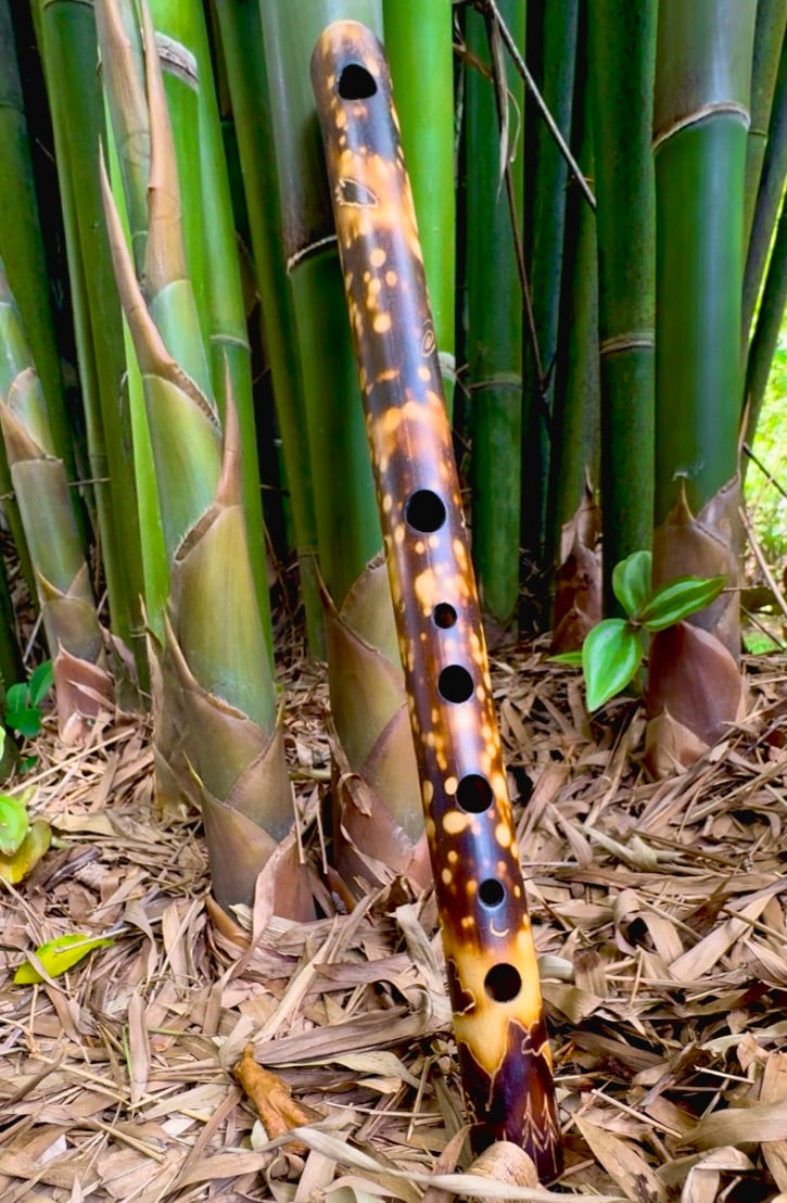Side Blown Flute - The Small Minor