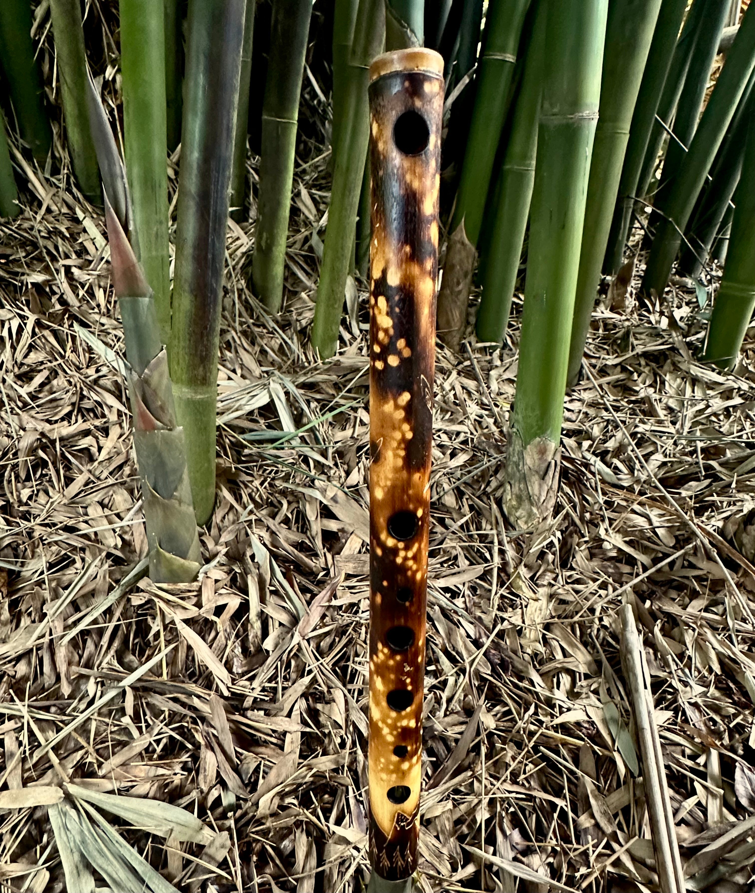 Side Blown Flute - The Small Minor