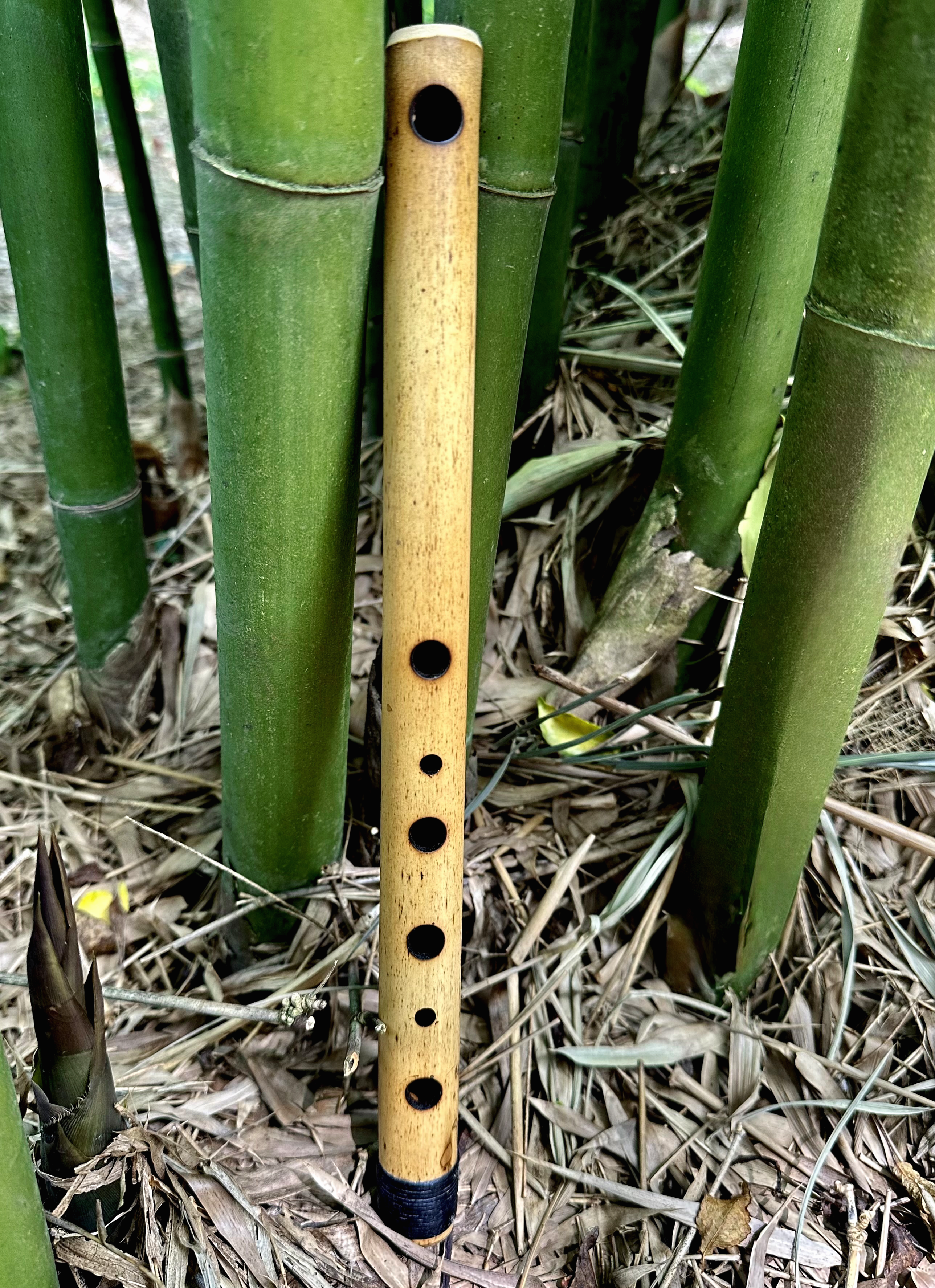 Side Blown Flute - The Small Minor