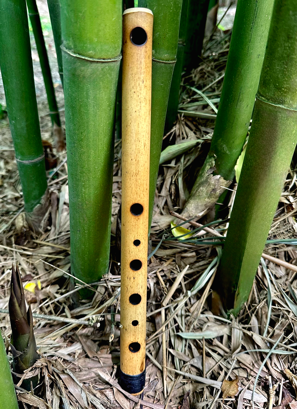 Side Blown Flute - The Small Minor