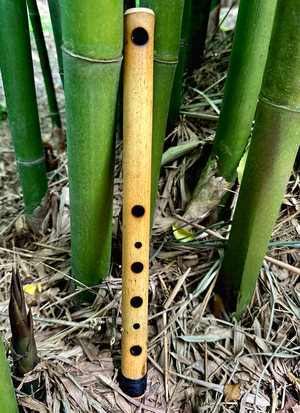 Side Blown Flute - The Small Minor