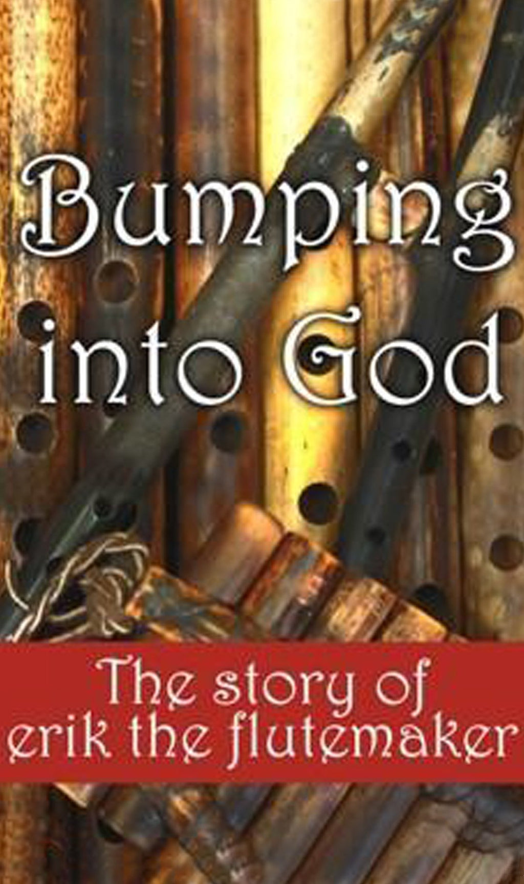 Bumping into God Book