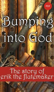 Bumping into God Book PDF