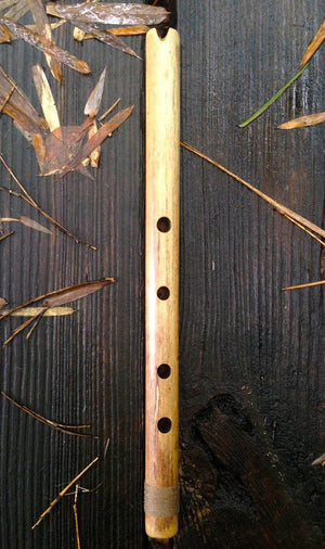 END BLOWN FLUTE Ice Age Pre-historic Bamboo Body