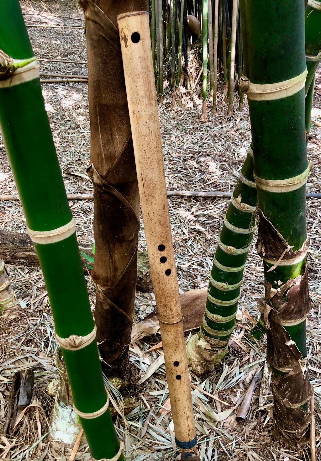 SIDE BLOWN FLUTE - Deep Forest | Bamboo Body - Exotic Scale