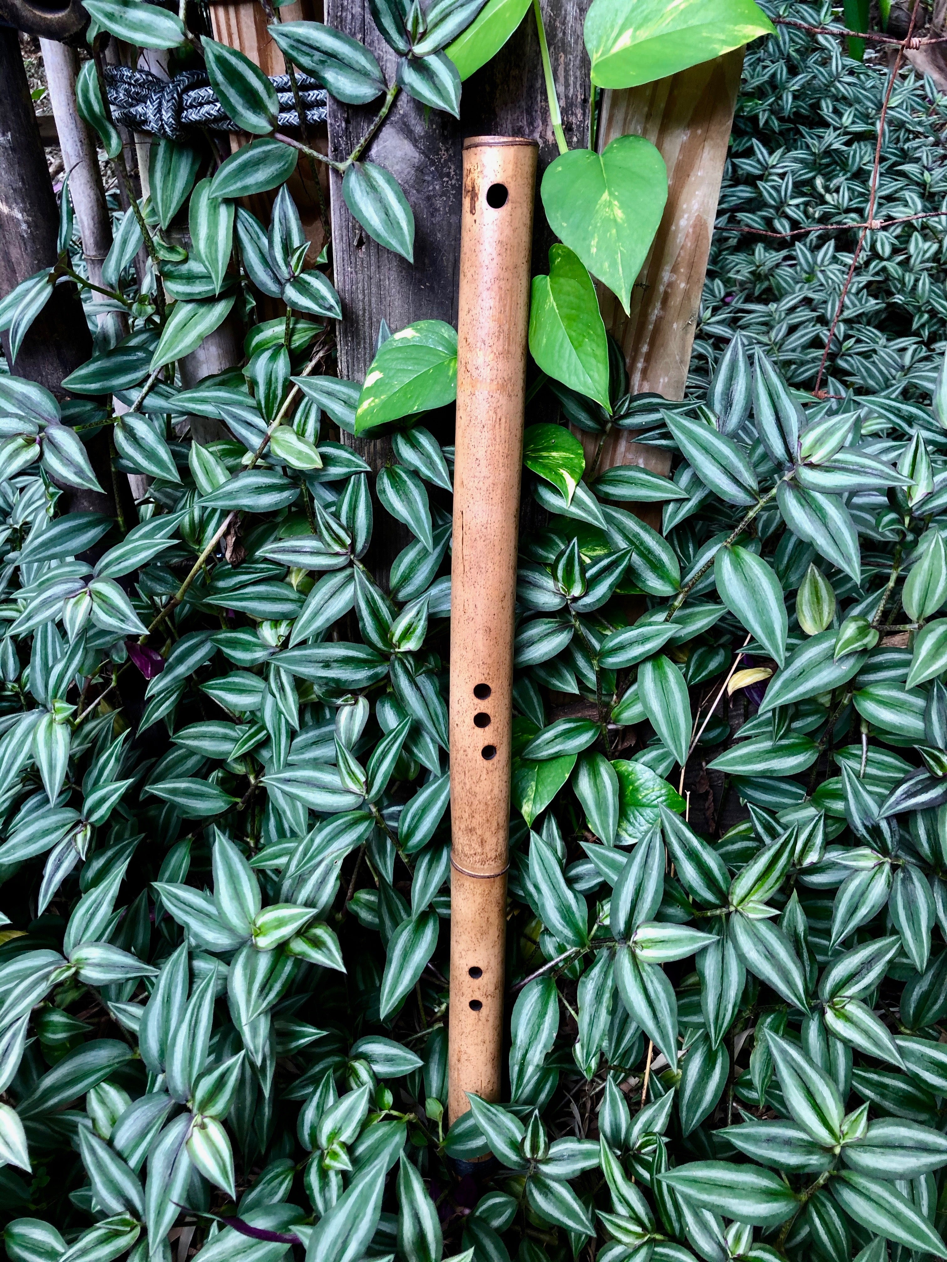 SIDE BLOWN FLUTE - Deep Forest | Bamboo Body - Exotic Scale