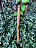 SIDE BLOWN FLUTE - Deep Forest | Bamboo Body - Exotic Scale