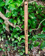 SIDE BLOWN FLUTE - Deep Forest | Bamboo Body - Exotic Scale