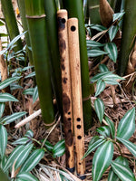 SIDE BLOWN FLUTE - In-Sen | Bamboo Body - Exotic Scale
