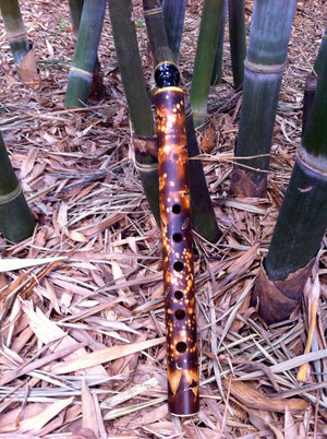 SAXOPHONE - Starry Night Alto Bamboo Sax