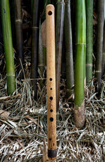 SIDE BLOWN FLUTE - Arabian | Bamboo Body - Exotic Scale