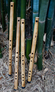SIDE BLOWN FLUTE Anasazi Bamboo Body