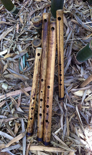 SIDE BLOWN FLUTE Arabian Professionally Tuned in A Bamboo Body Medium
