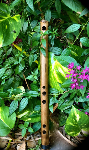 ancient flute monsters of etheria The Ancient Flute Set – Erik the Flutemaker